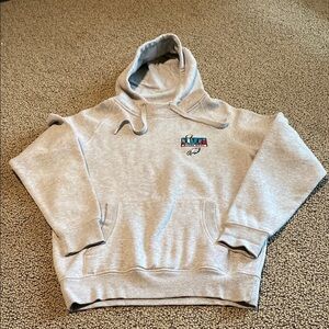 Super Bowl Philadelphia Eagles Gray Hoodie Sweater in Like New Condition